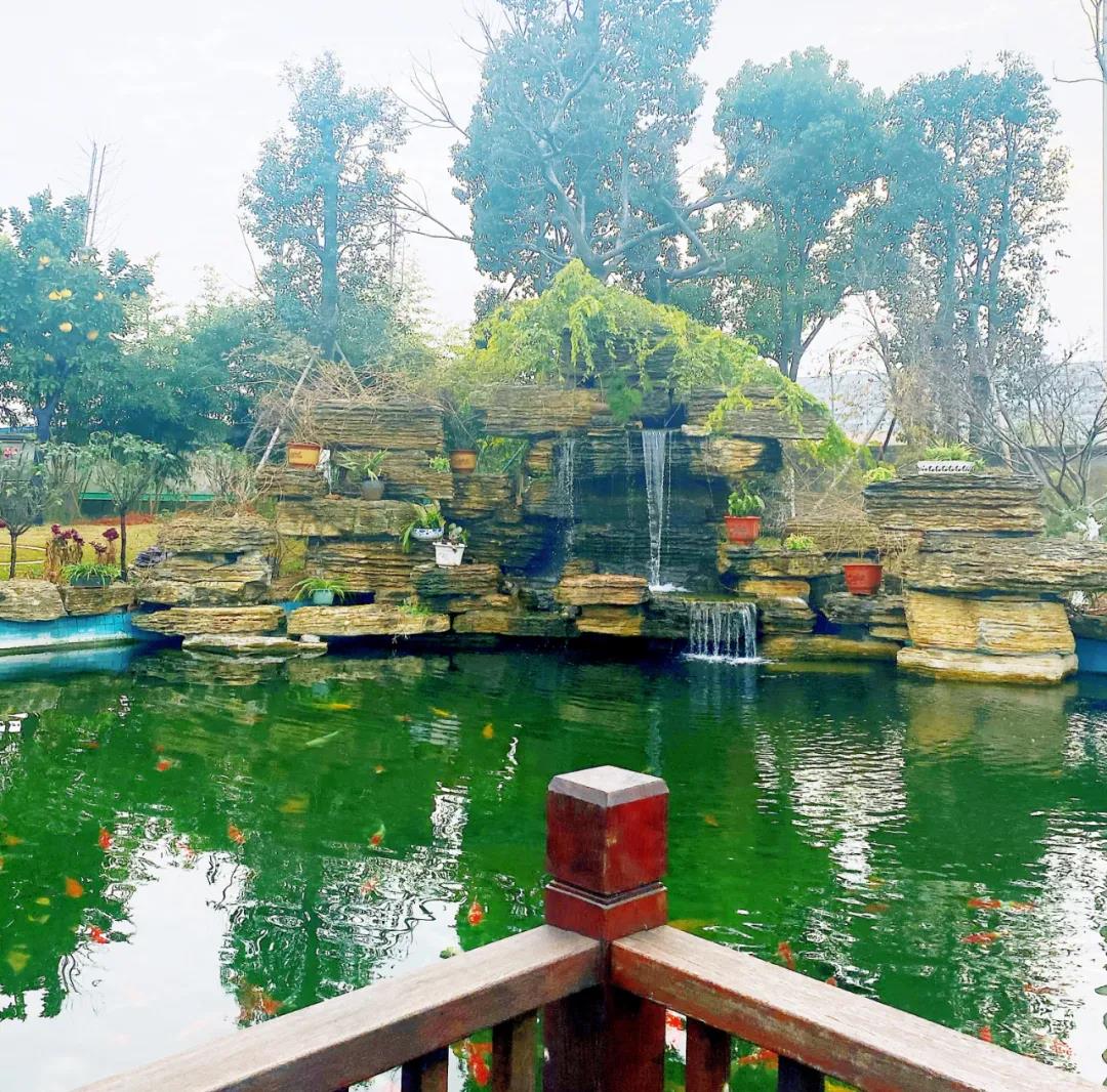 風(fēng)景這邊獨(dú)好！東大環(huán)境美景一覽，請(qǐng)查收