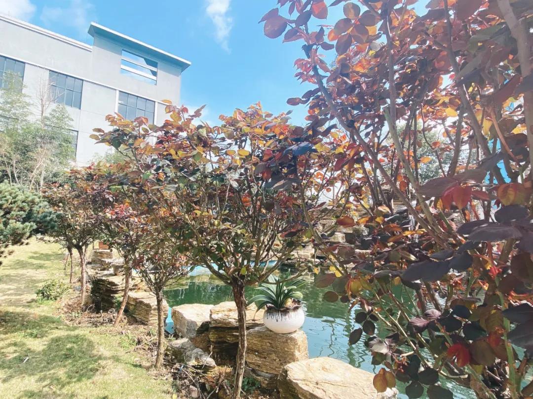 風(fēng)景這邊獨(dú)好！東大環(huán)境美景一覽，請(qǐng)查收