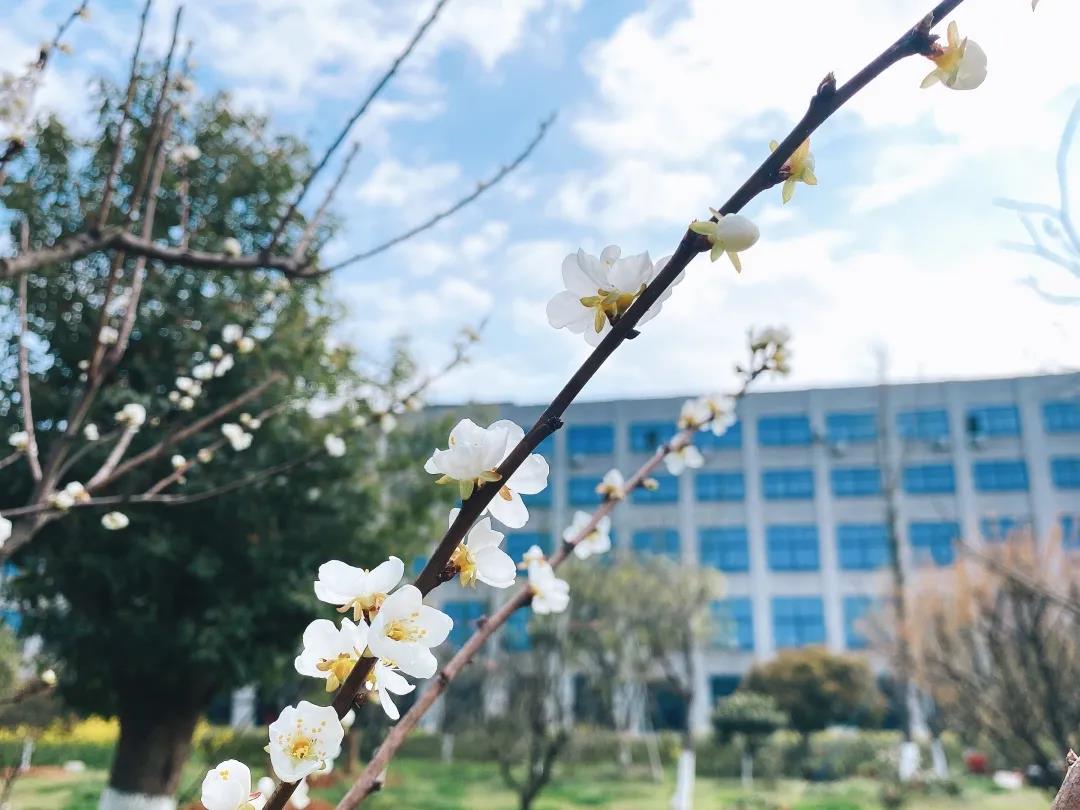 風(fēng)景這邊獨(dú)好！東大環(huán)境美景一覽，請(qǐng)查收