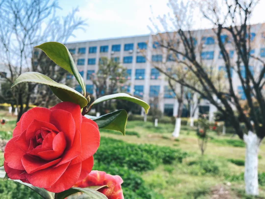 風(fēng)景這邊獨(dú)好！東大環(huán)境美景一覽，請(qǐng)查收